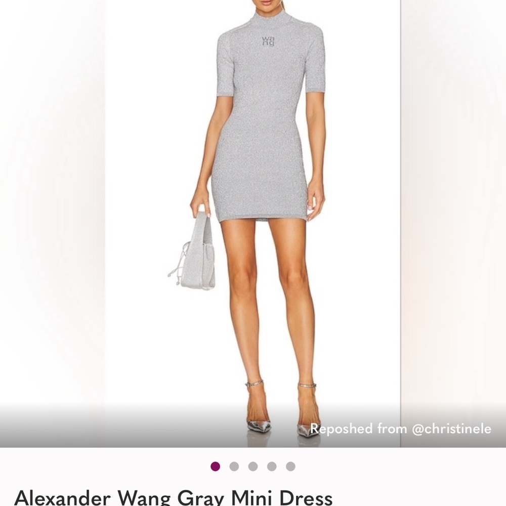 Alexander Wang Light Gray Fitted Mini Dress
